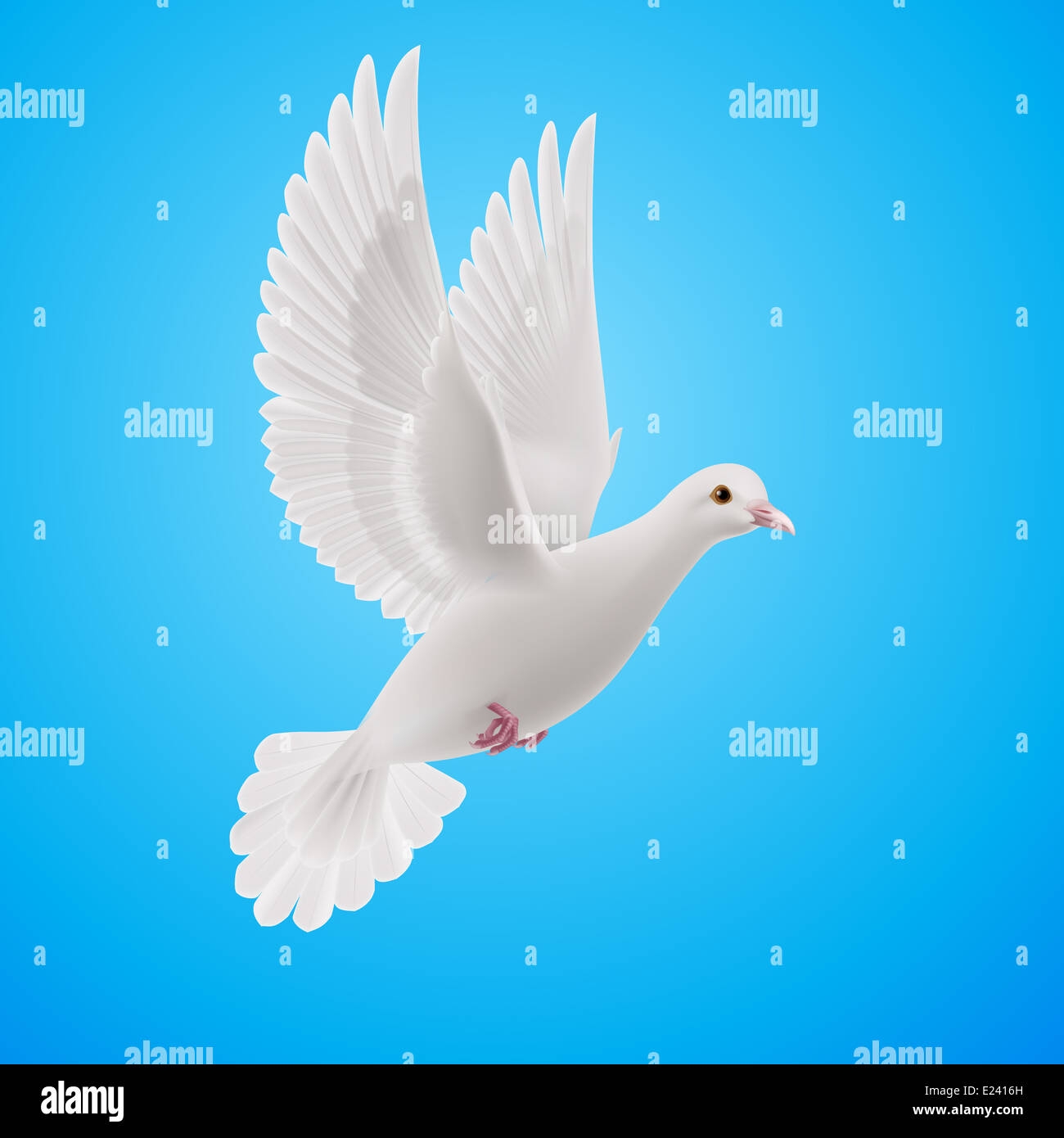 Realistic white dove flying on blue sky background. Symbol of peace