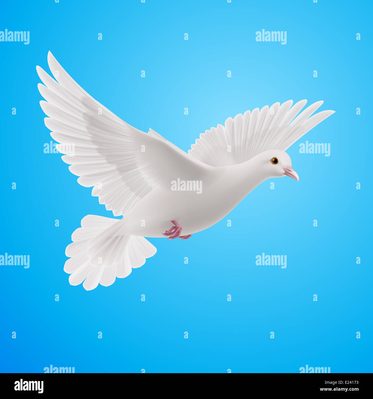 Realistic white dove on blue sky background. Symbol of peace Stock