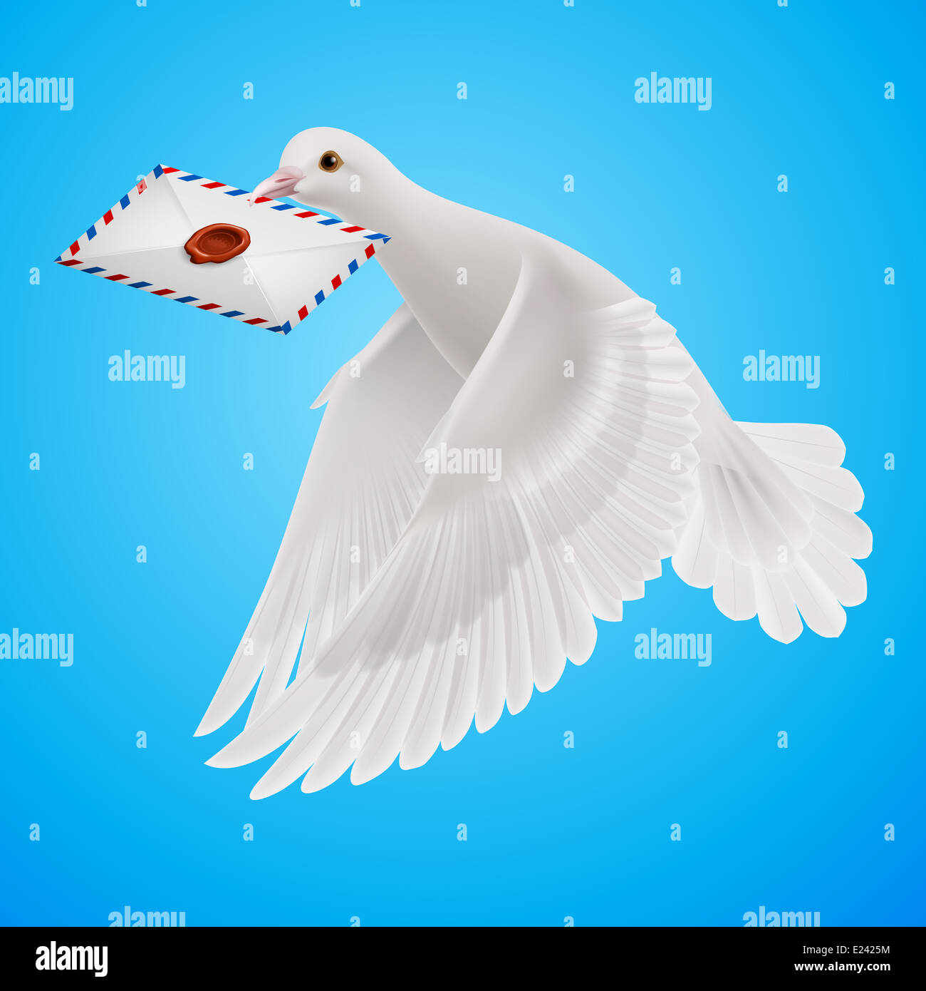 Top 102+ Images How To Train Carrier Pigeons To Carry Messages Superb