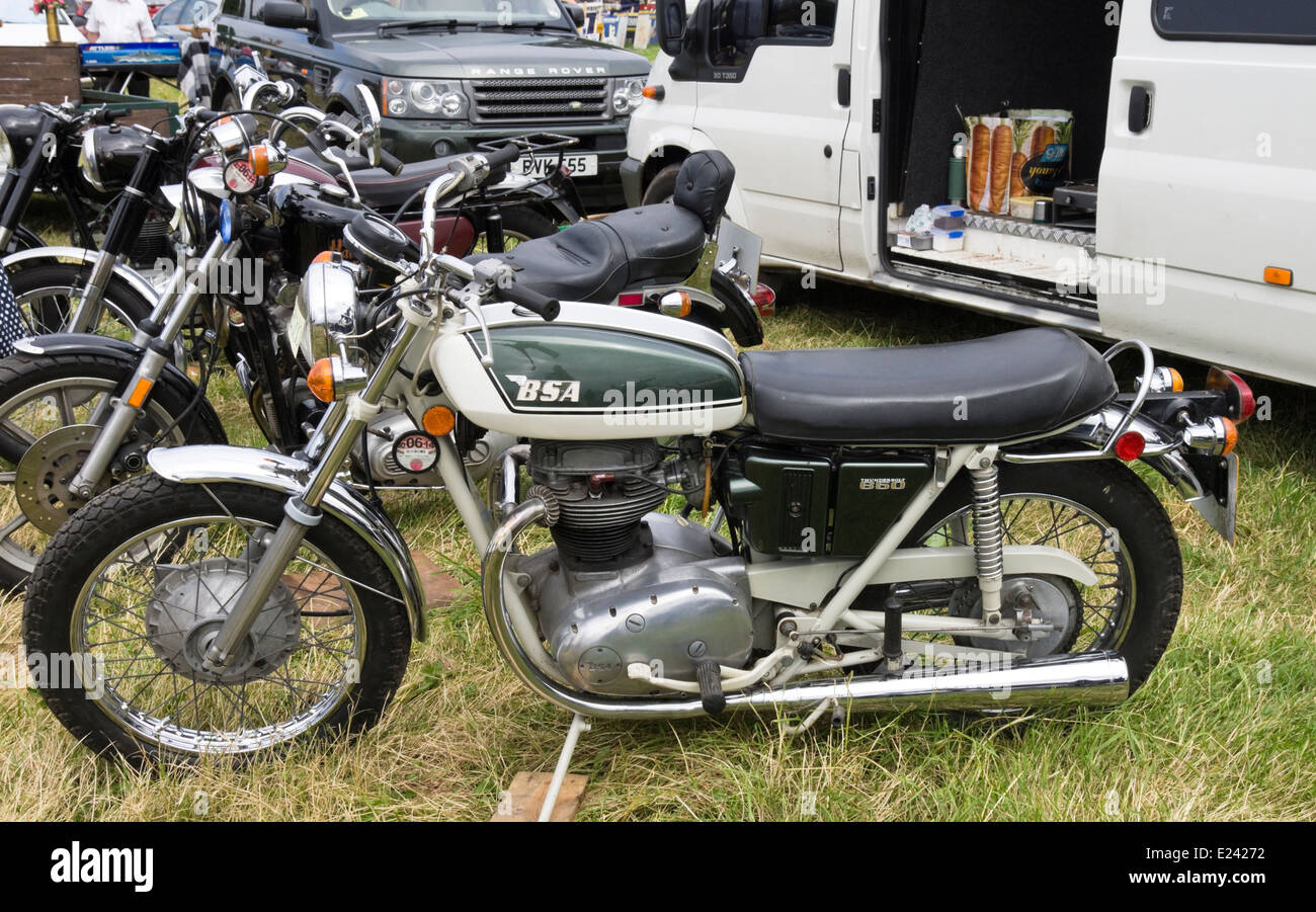 The 2014 Classic car show on the Meadow at Berkeley Castle Berkeley