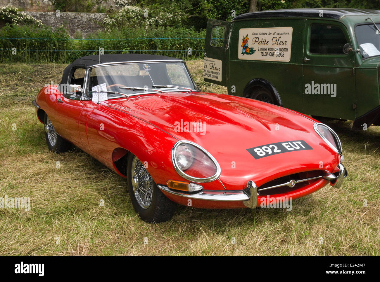 The 2014 Classic car show  on the Meadow at Berkeley Castle Berkeley Gloucestershire England. E-Type Jaguar Stock Photo