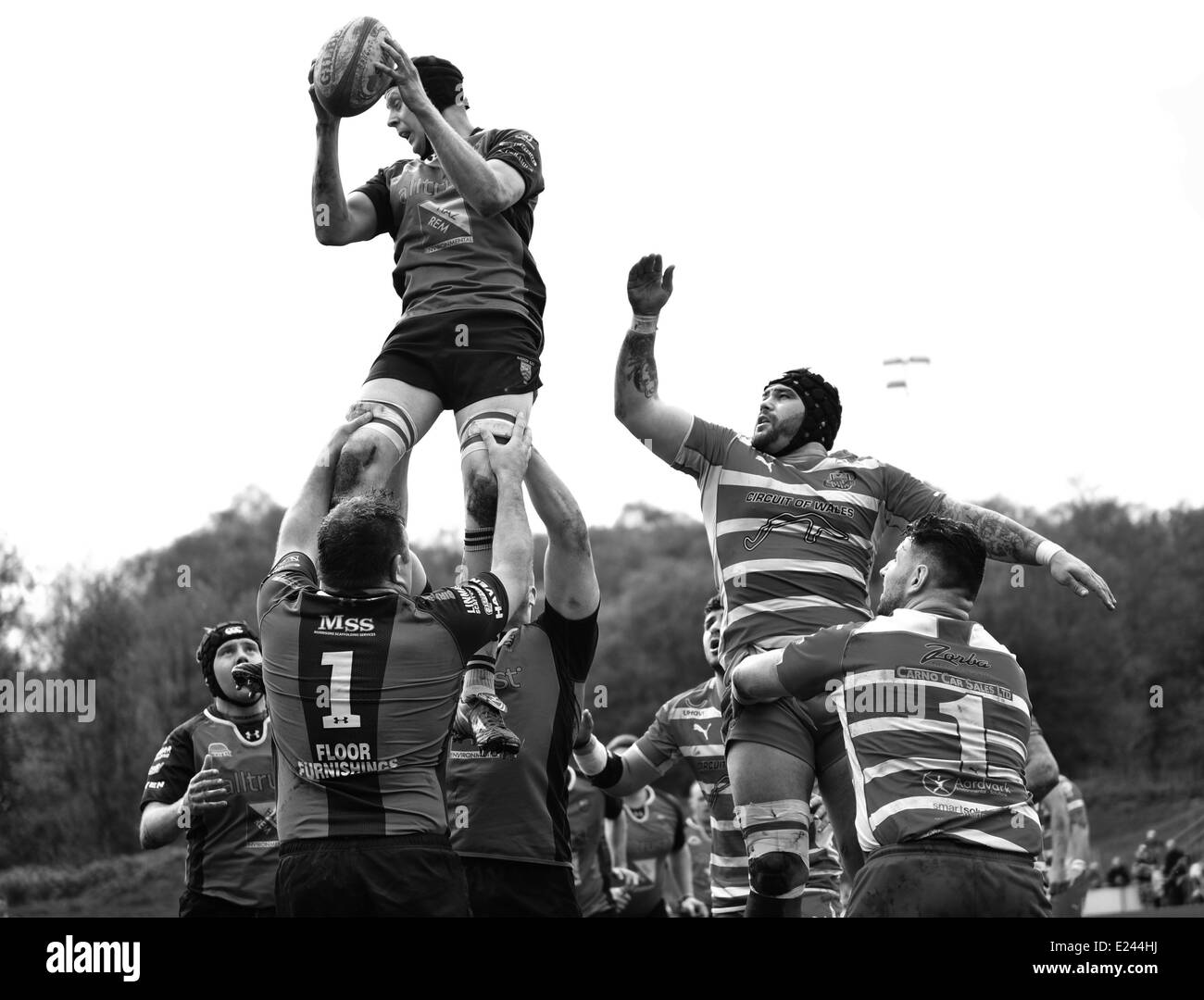 Line-out Jumper Stock Photo
