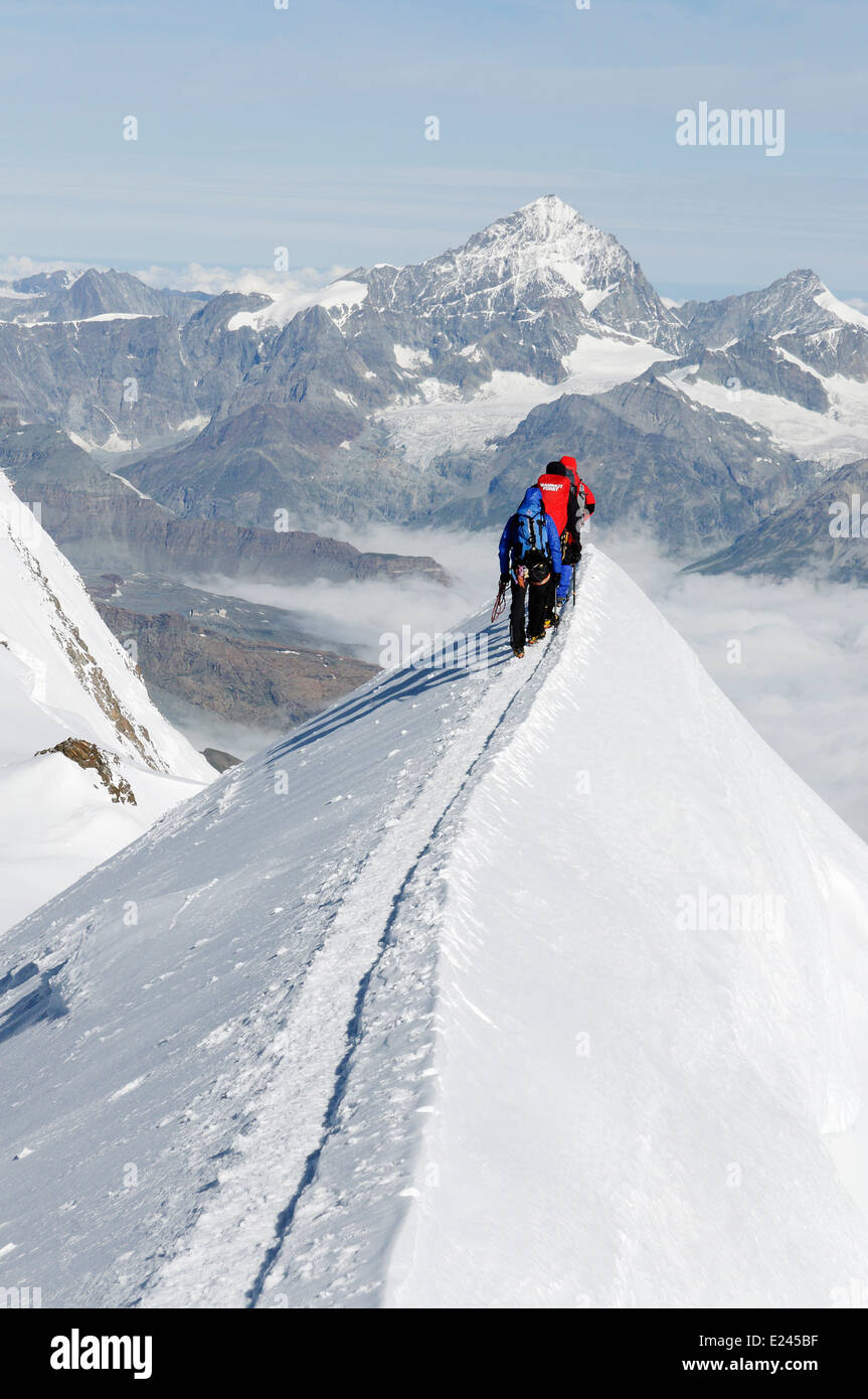 Mountaineers on a narrow ridge high on Monte Rosa in the Swiss alps ...