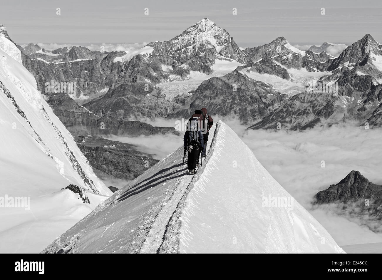 Mountaineers on a narrow ridge high on Monte Rosa in the Swiss alps ...