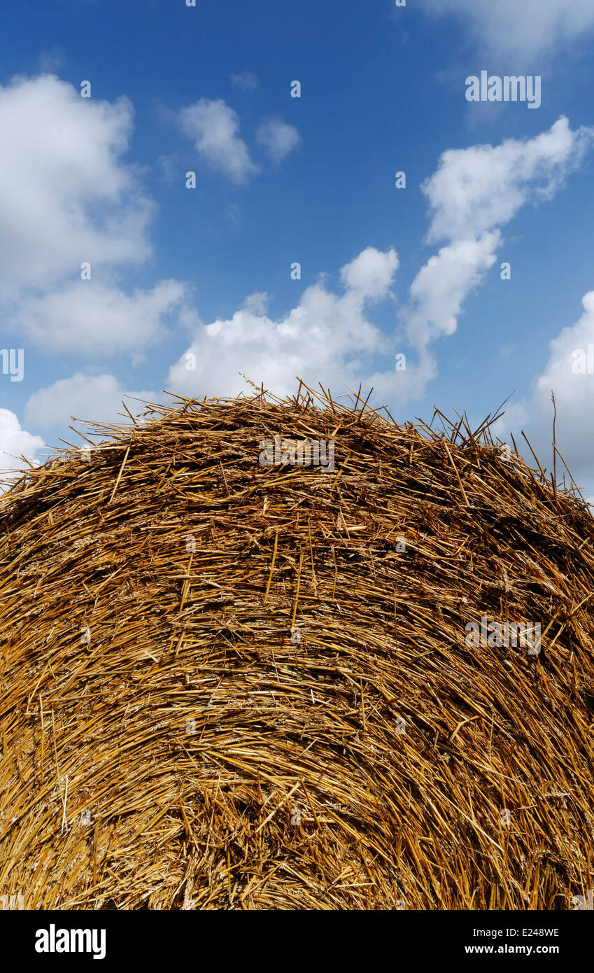 A bale of hay and a blue sky Stock Photo - Alamy