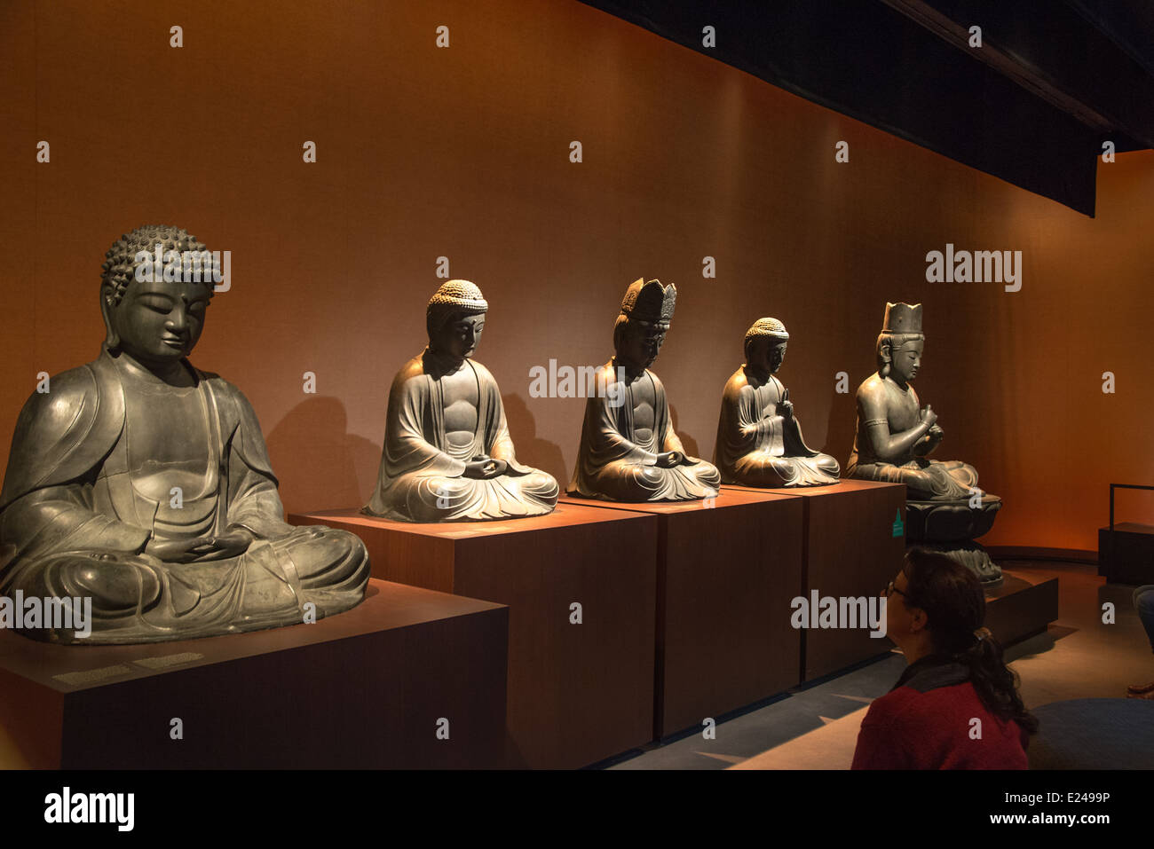 Get Buddhaer leiden For iPhone