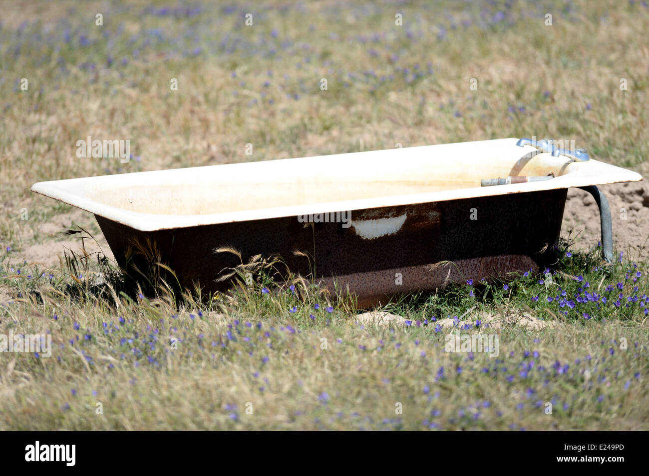 Bath used as water trough hi-res stock photography and images - Alamy