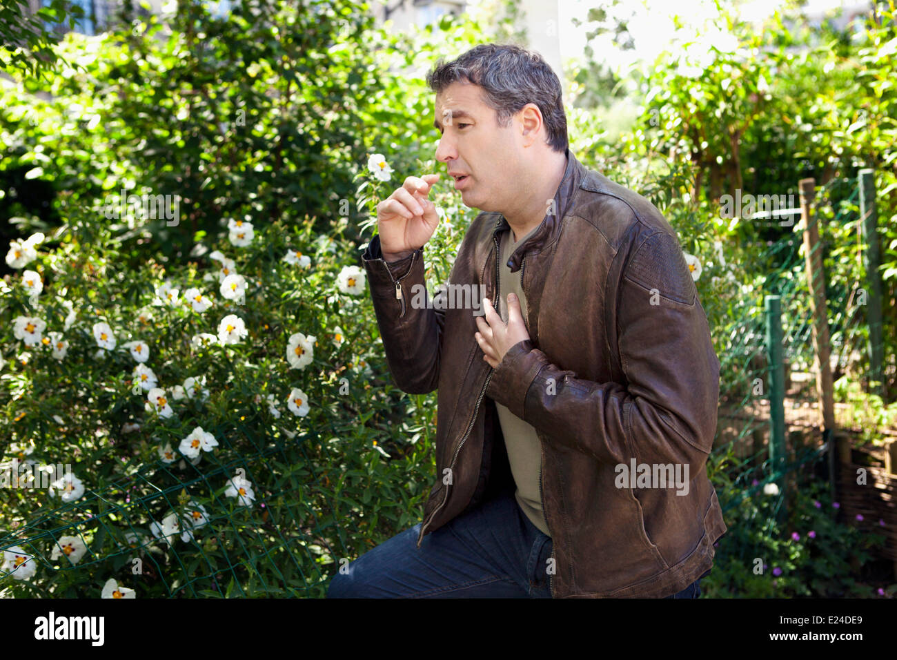 Rhinitis allergy hires stock photography and images Alamy