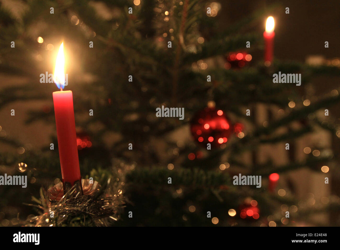 Candles. Christmas tree Stock Photo Alamy