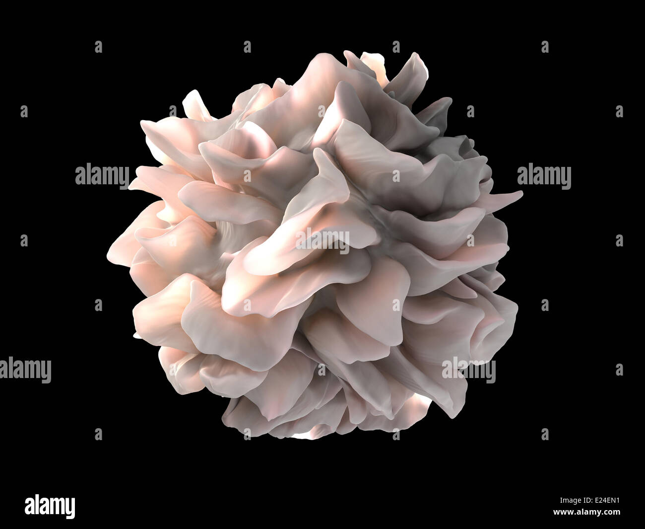 Dendritic cell revealed Stock Photo