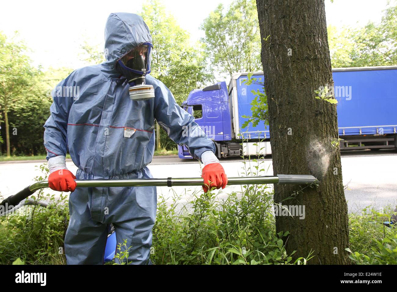Hamburg, Germany. 10th June, 2014. Employees of a tree care company