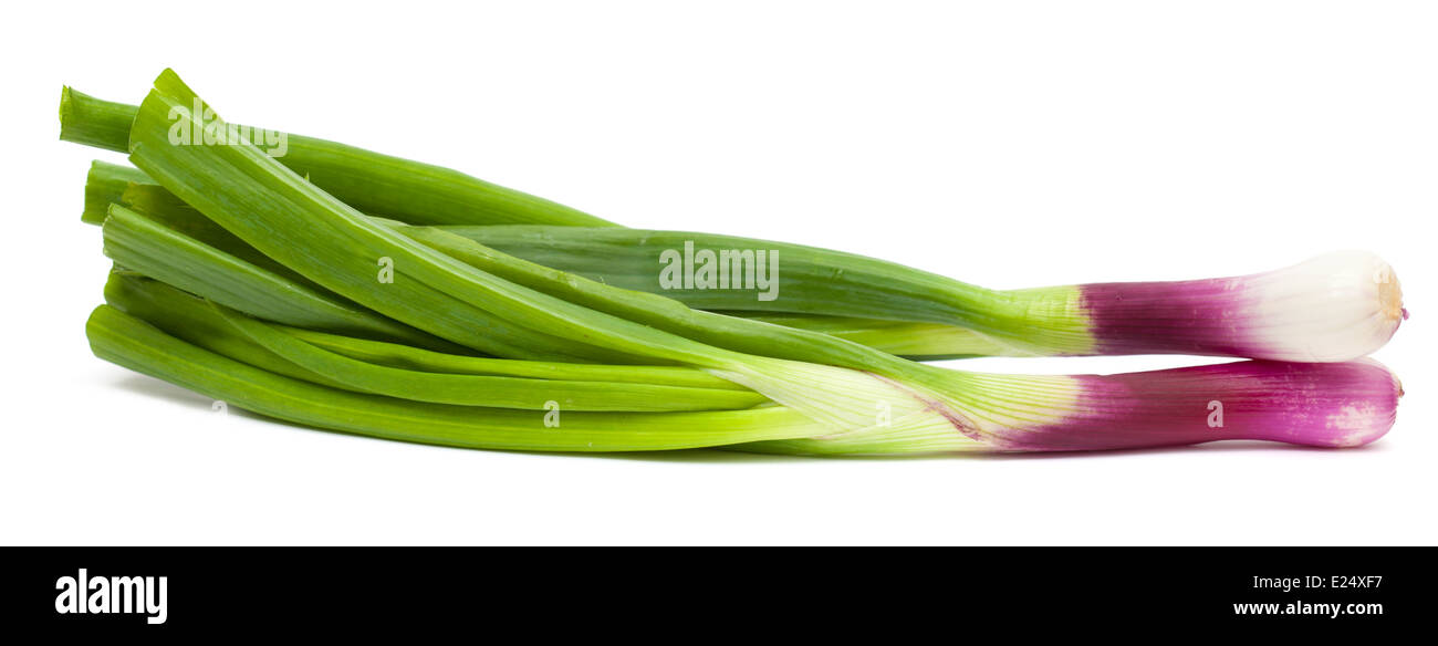 purple spring onions isolated on white Stock Photo Alamy