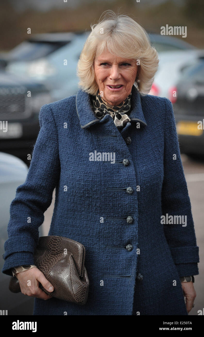 Camilla, Duchess of Cornwall, arrives to visit the Medical Detection