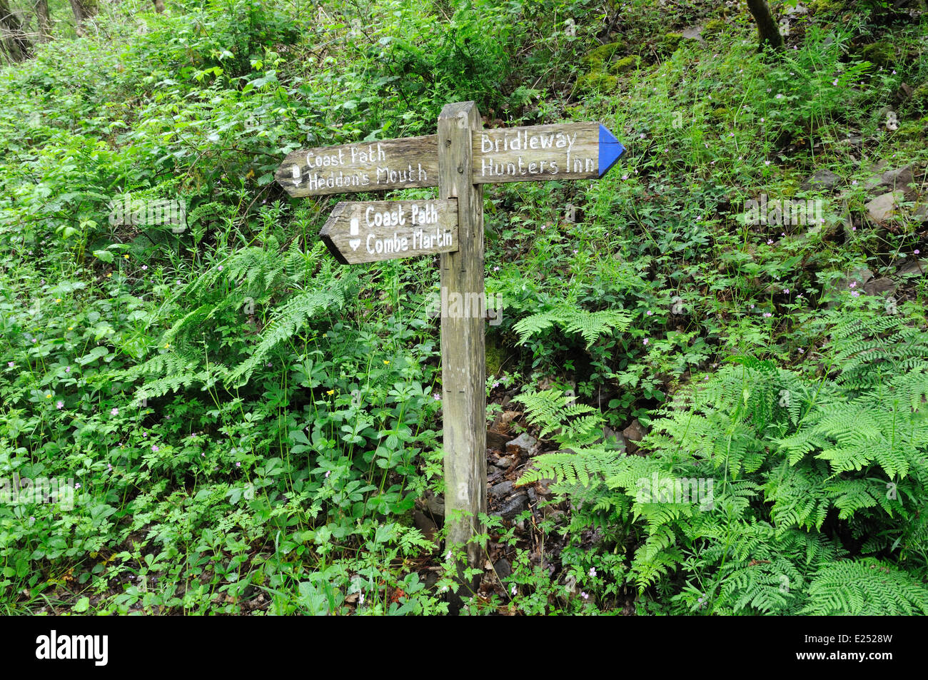 Old wood sign post showing the way to Heddons Mouth through Heddon Valley Exmoor national park Devon England UK GB Stock Photo