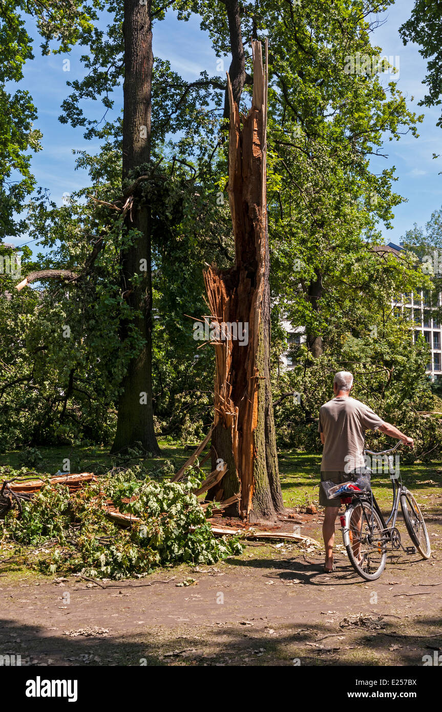 Storm damage in the Hofgarten Park after 'Ela' hit Düsseldorf, NRW, Germany in June 2014. Stock Photo
