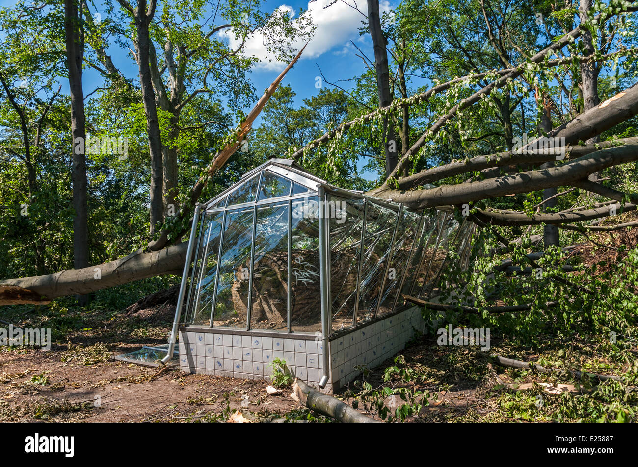 Storm damage in the Hofgarten Park after 'Ela' hit Düsseldorf, NRW, Germany in June 2014. Stock Photo