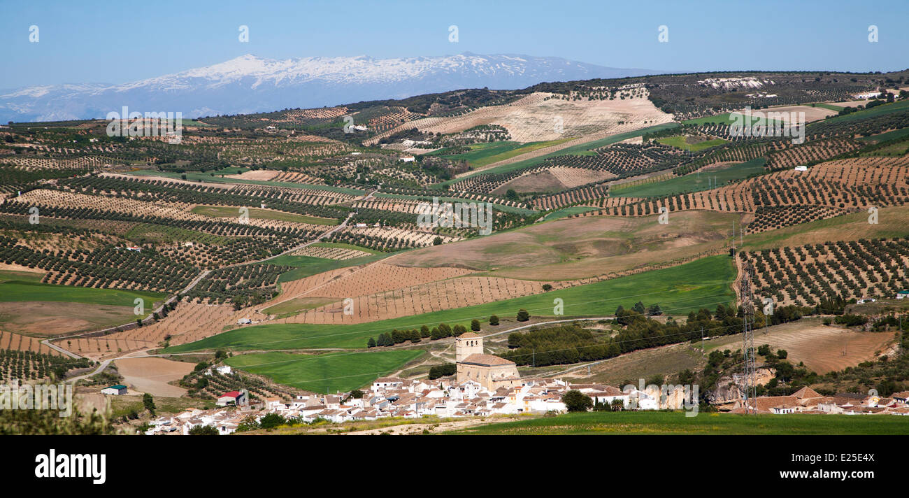 Alhama de Granada, Spain in Andalucian farming landscape fields rolling hills Stock Photo