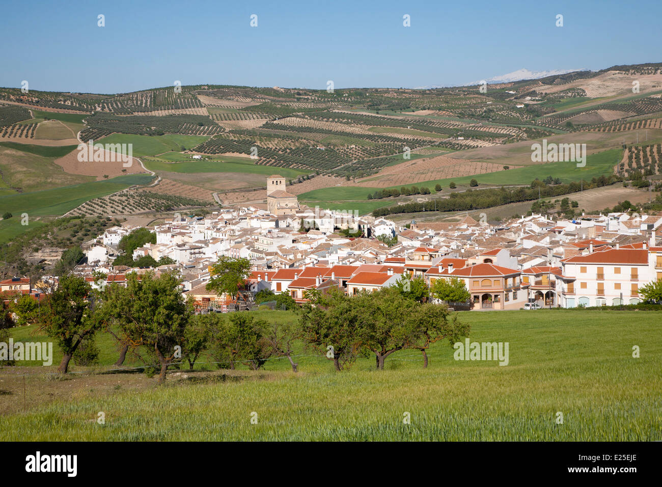 Alhama de Granada, Spain in Andalucian farming landscape fields rolling hills Stock Photo