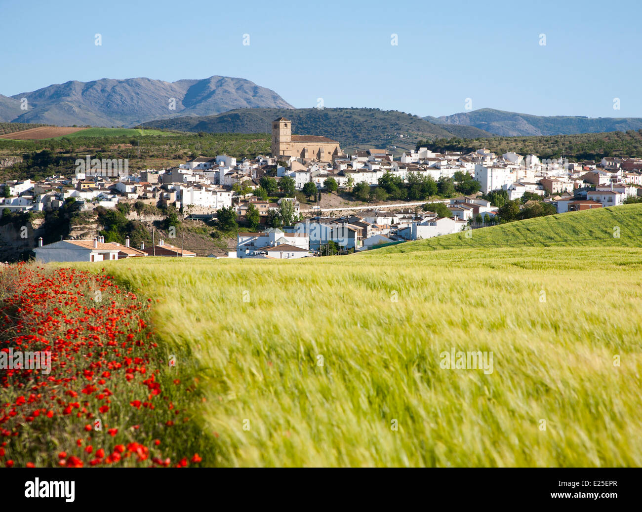 Alhama de Granada, Spain in Andalucian farming landscape fields rolling hills Stock Photo