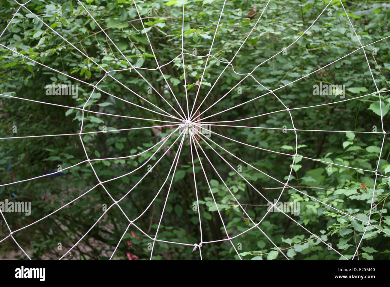 immense spider's Web woven with synthetic yarns in green forest full of trees Stock Photo