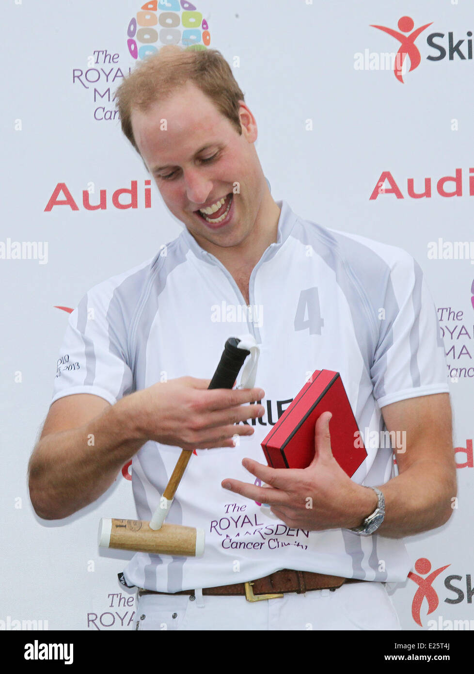 Britain's Prince WIlliam and Prince Harry play a charity polo match at the Audi Polo Challenge, Coworth Park, Berkshire, The match is in aid of the charities SkillForce and The Royal Marsden Cancer Charity, of which The Duke of Cambridge is Patron and President respectively.  Featuring: Prince WIlliam,Prince Harry Where: Windsor, Royaume Uni When: 03 Aug 2013 Stock Photo