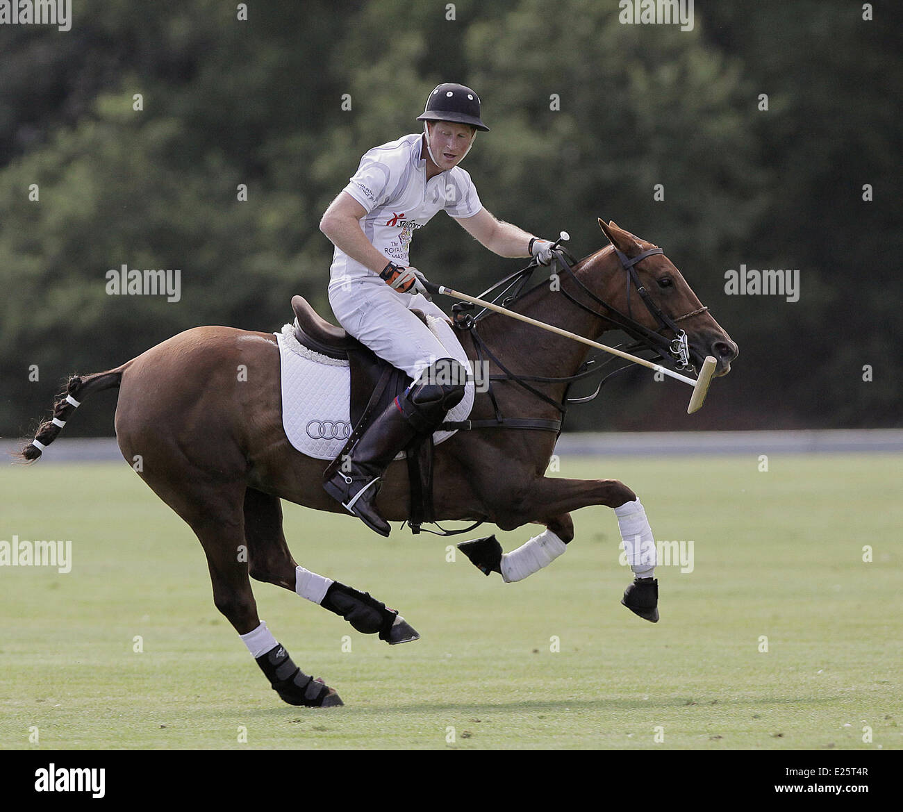 Britain's Prince WIlliam and Prince Harry play a charity polo match at the Audi Polo Challenge, Coworth Park, Berkshire, The match is in aid of the charities SkillForce and The Royal Marsden Cancer Charity, of which The Duke of Cambridge is Patron and President respectively.  Featuring: Prince WIlliam,Prince Harry Where: Windsor, Royaume Uni When: 03 Aug 2013 Stock Photo