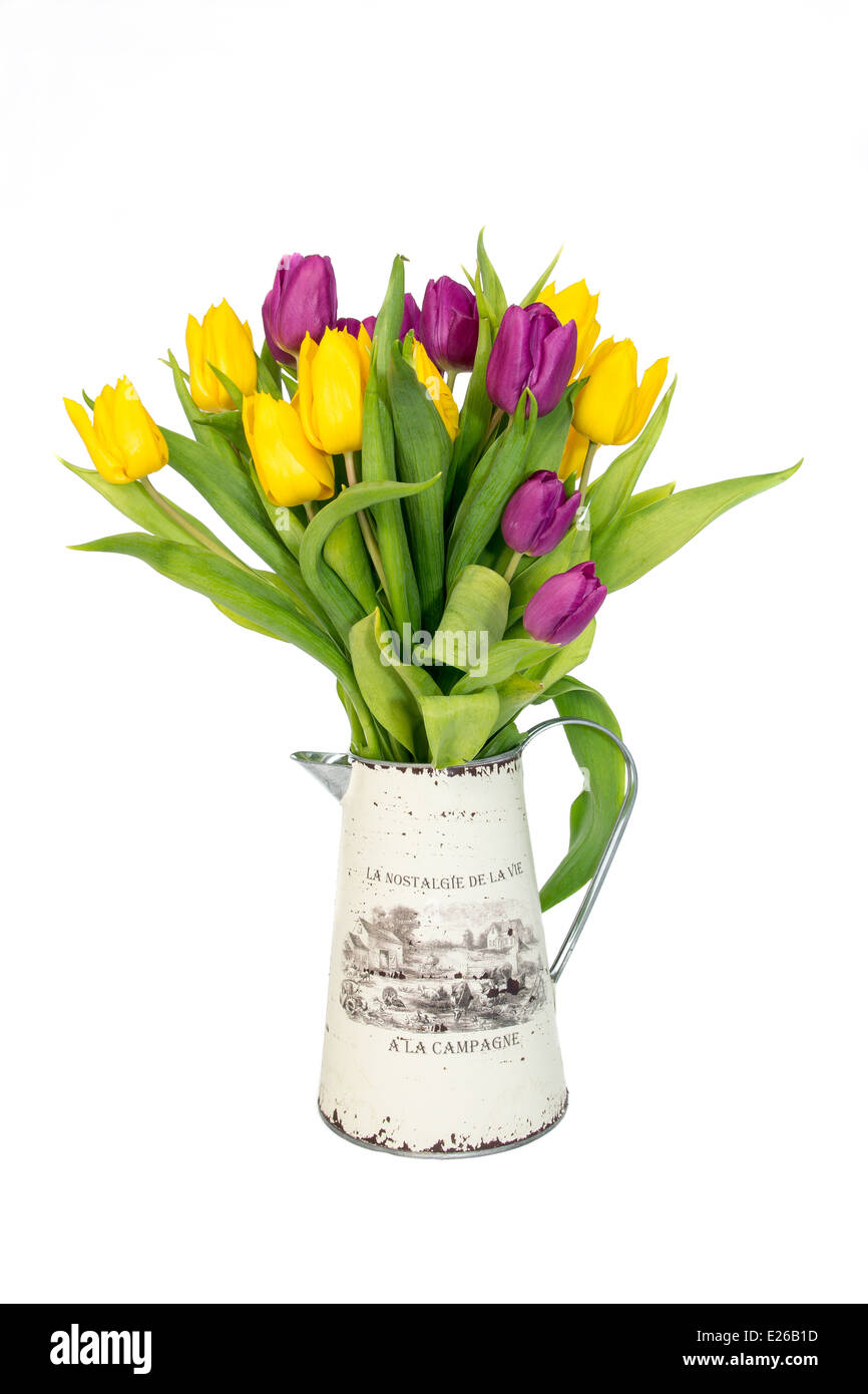 A bouquet of tulips white background Stock Photo - Alamy