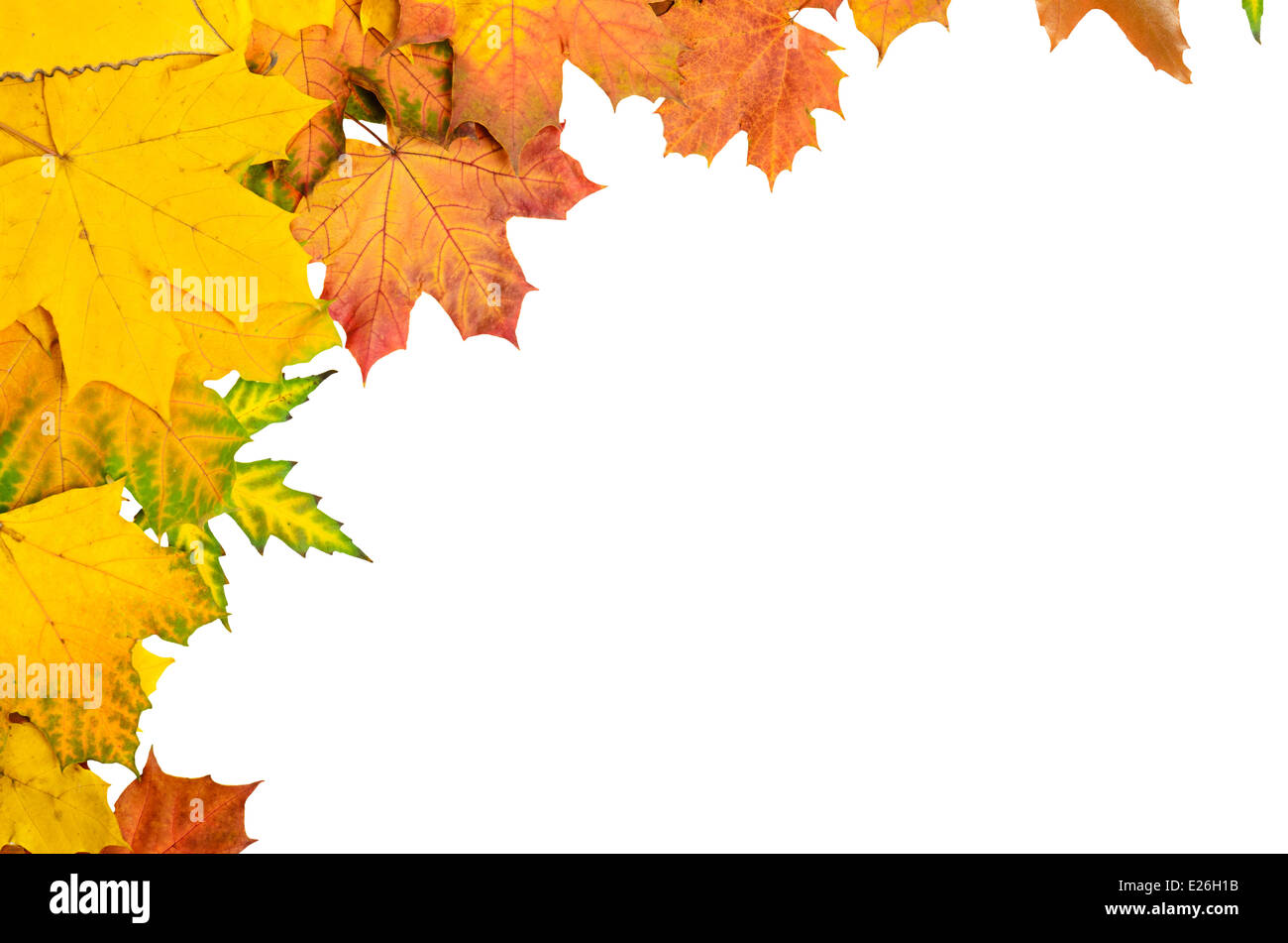 Autumn leaves frame Stock Photo - Alamy