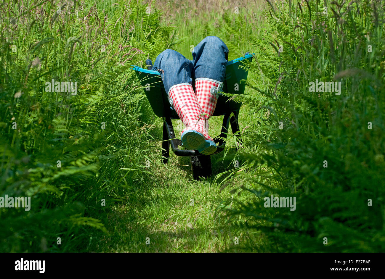 female gardener laying in garden wheelbarrow Stock Photo