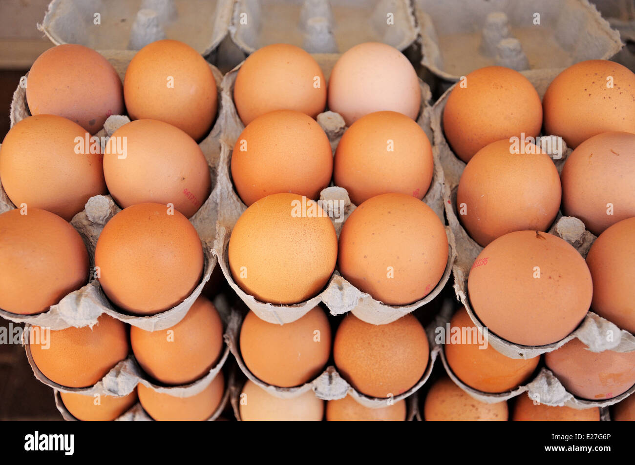 Chicken eggs in egg boxes for sale at the Saturday market, Tamworth