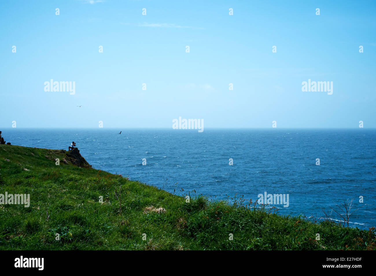 A sightseer taking a photograph of sea gulls, The Lizard, Cornwall, 2014 Stock Photo