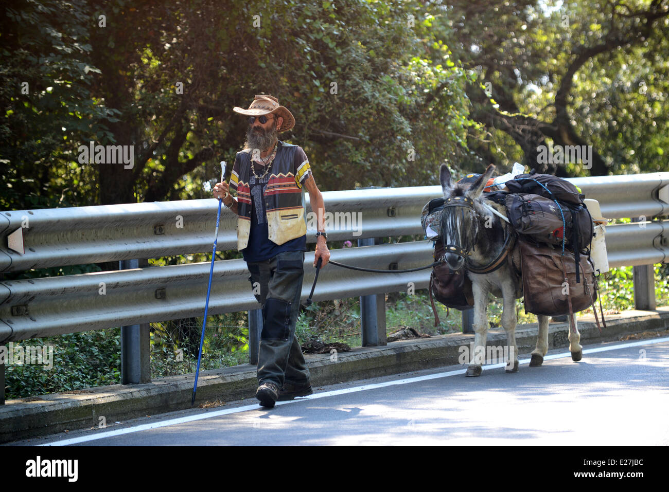 Man travelling with donkey near Chiavari Italy on their way to Strasbourg / donkeys mule old hippy man walking travelling animal Stock Photo