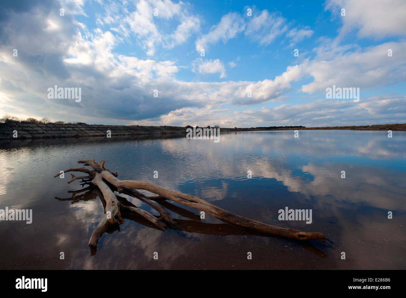 wood in water at sea front with blue sky and white cloud Stock Photo