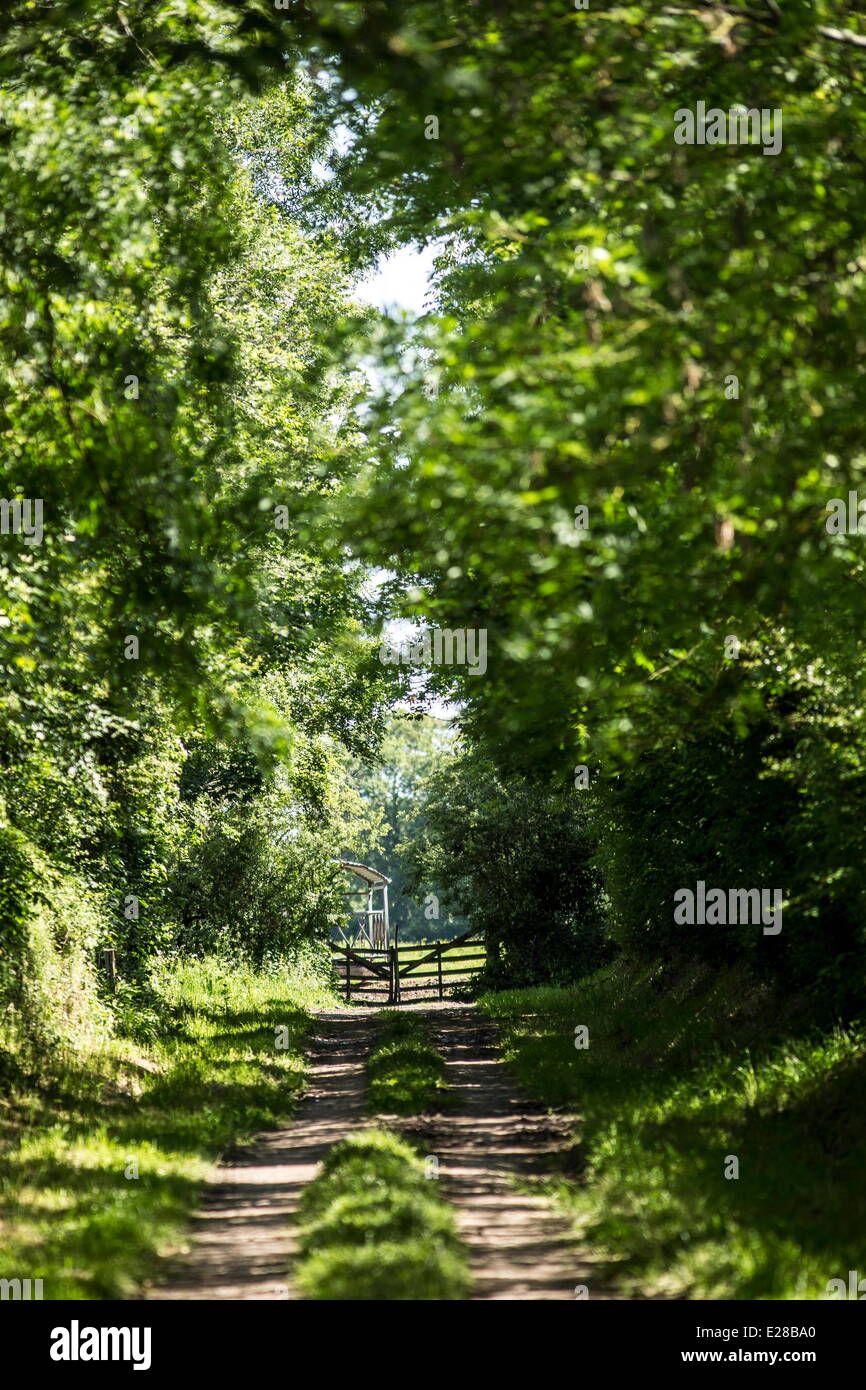 Normandy, France. 6th June, 2014. A country lane near the site of the 101st Airborne Division's hospital in Normandy, France, June 6, 2014. The division set up a hospital to treat wounded paratroopers who parachuted into Normandy to start Operation Overlord, also known as D Day, on June 6, 1944. Thousands of people visited the region to commemorate the invasion's anniversary. This year marks the 70th anniversary of the landings that liberated France and ended the war in Europe. © Bill Putnam/ZUMA Wire/ZUMAPRESS.com/Alamy Live News Stock Photo