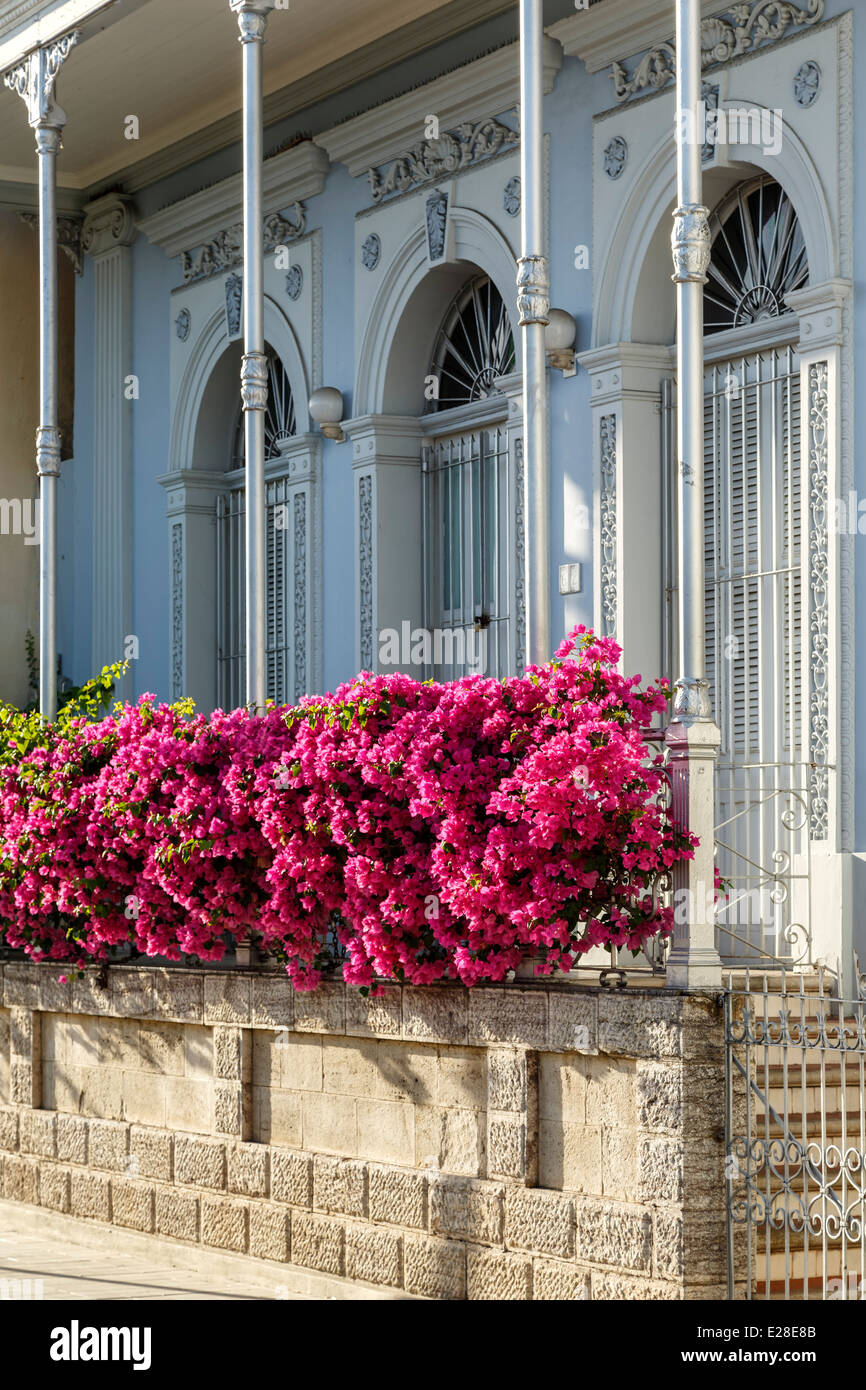 Flowers on porch, Ponce, Puerto Rico Stock Photo