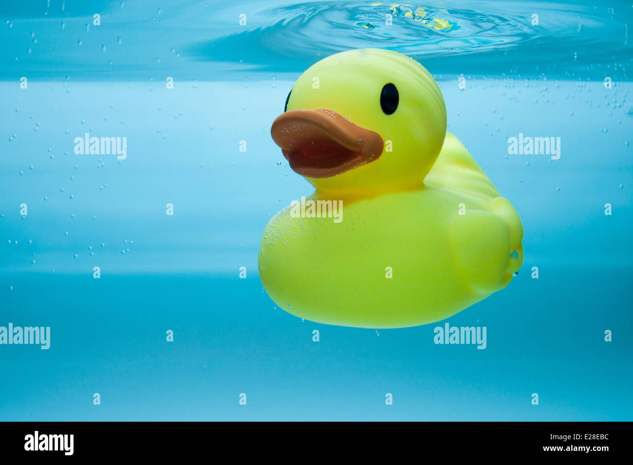 Rubber duck underwater Stock Photo Alamy