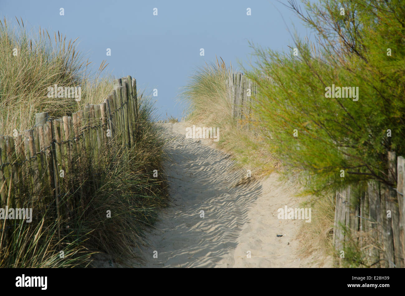foot path on sea shores of quiberon Stock Photo