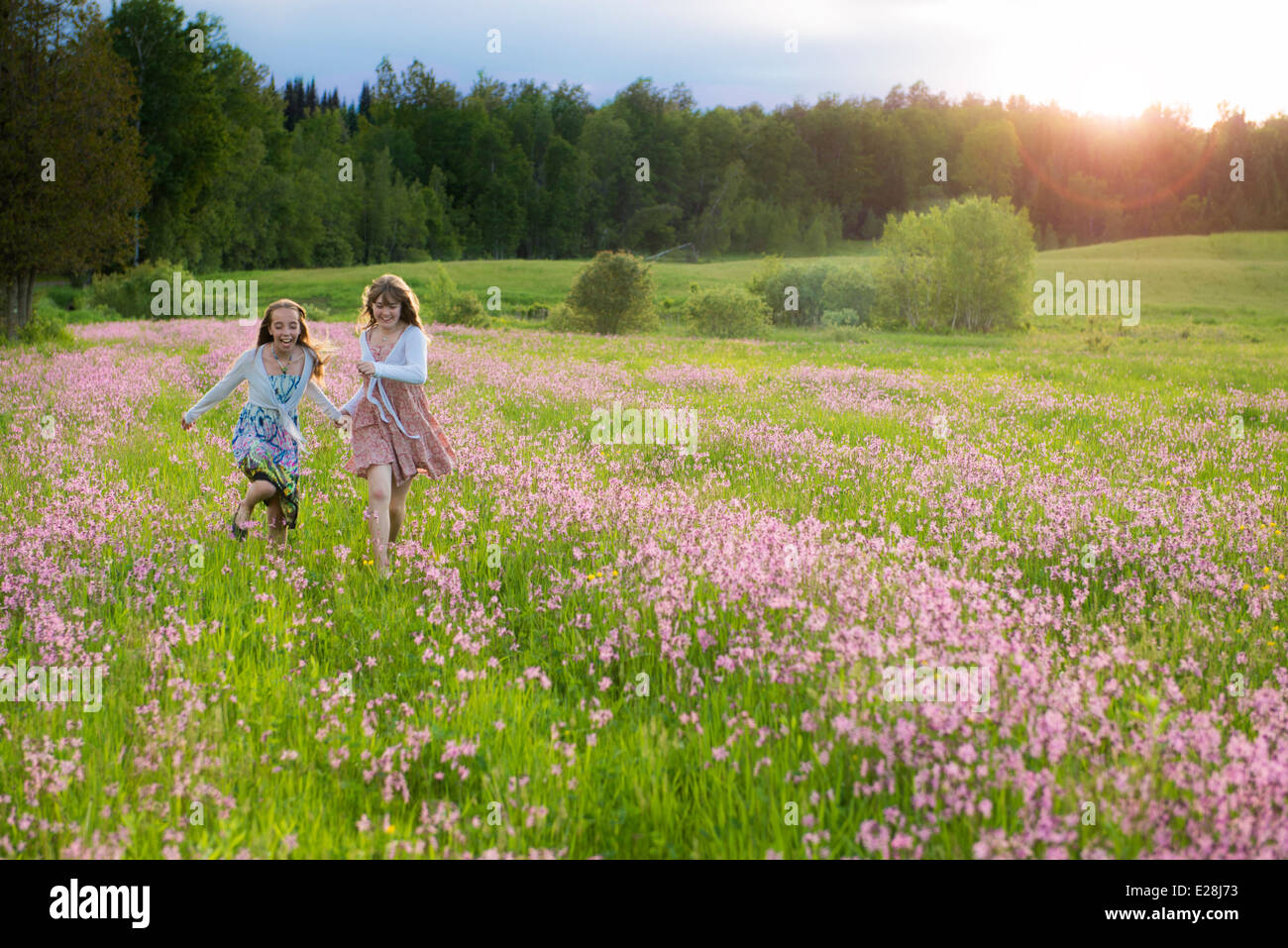 Two teenage girls running in a field of flower at sunset. Real friends in real life, they