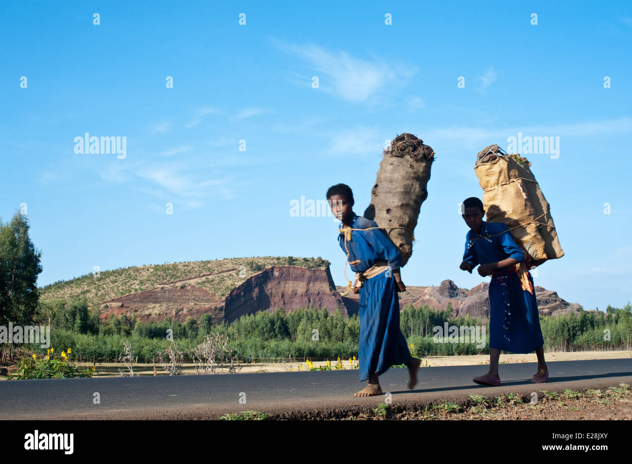 Dried cow dung used hi-res stock photography and images - Alamy