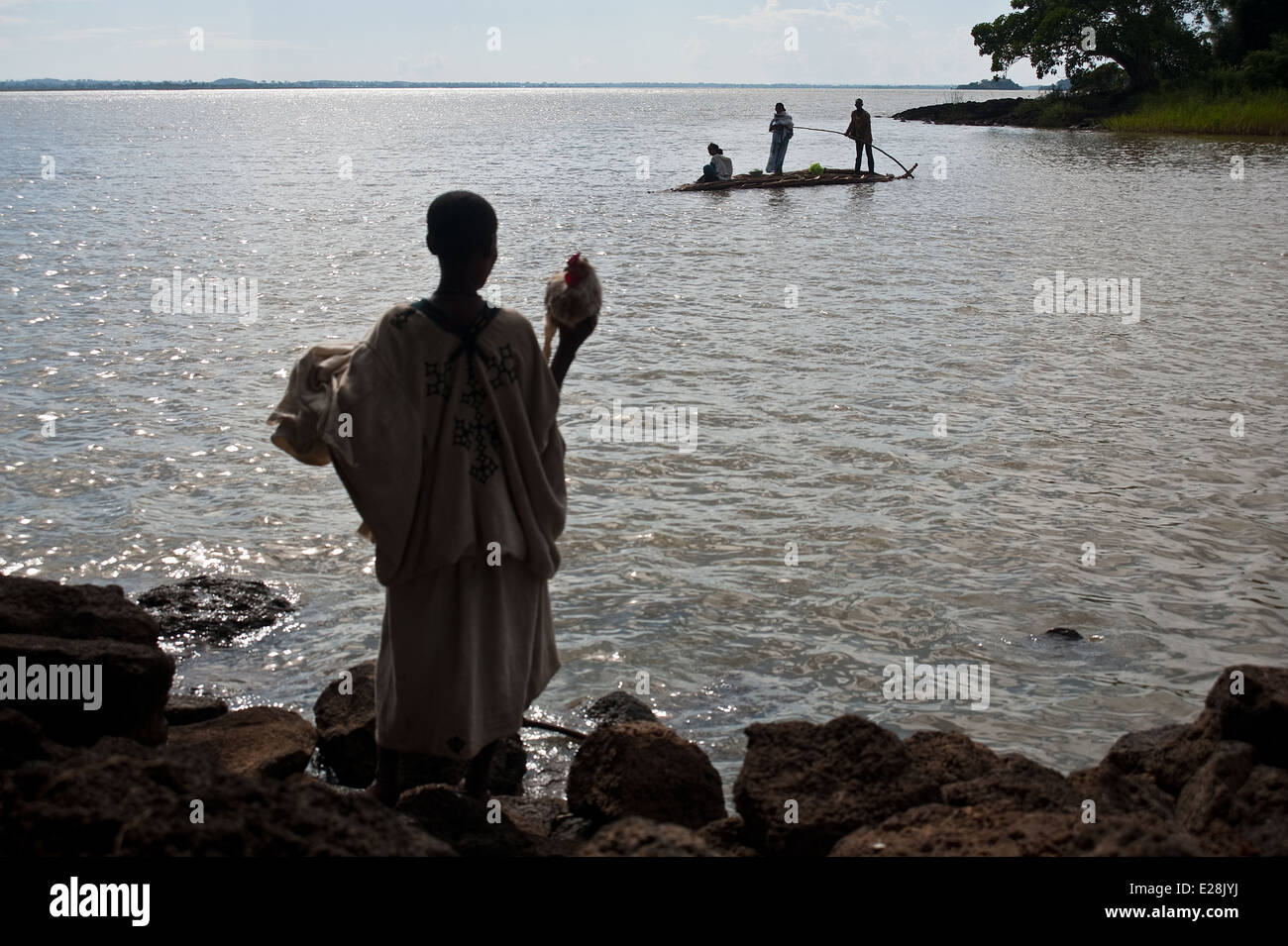 A woman is waiting a boat to cross the Blue Nile river. She is holding a hen. In the background, Lake Tana ( Ethiopia) Stock Photo