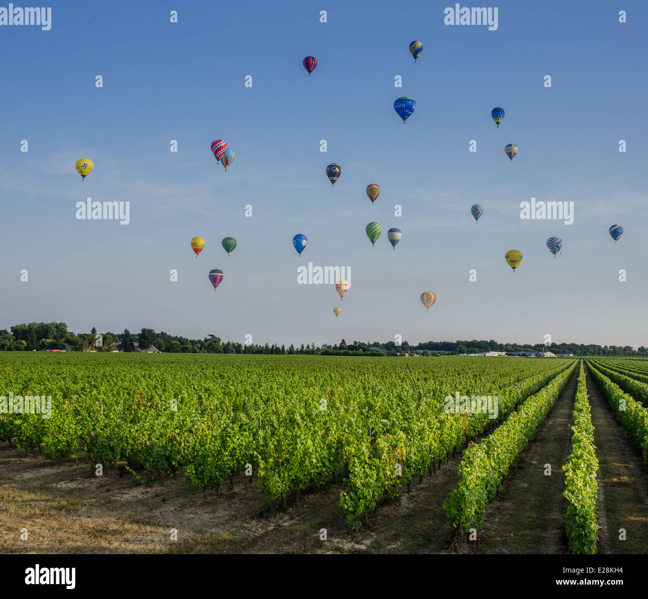 My Image 24