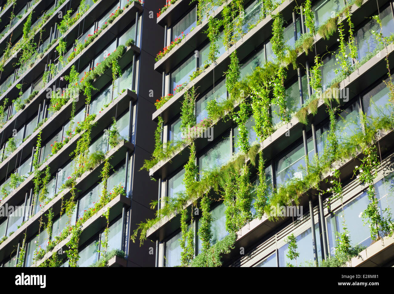 Vertical garden ('hanging garden') growing on a very modern, environmentally friendly high rise apartment building: One CentralPark, Sydney, Australia Stock Photo