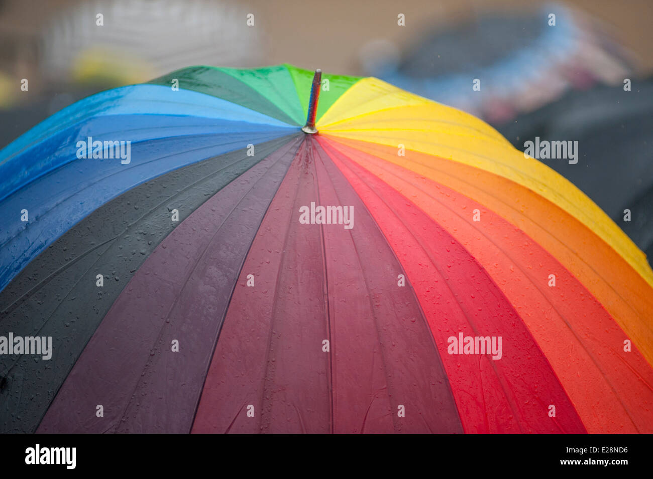 Spectators under umbrellas at the Colonel’s Review for Trooping the