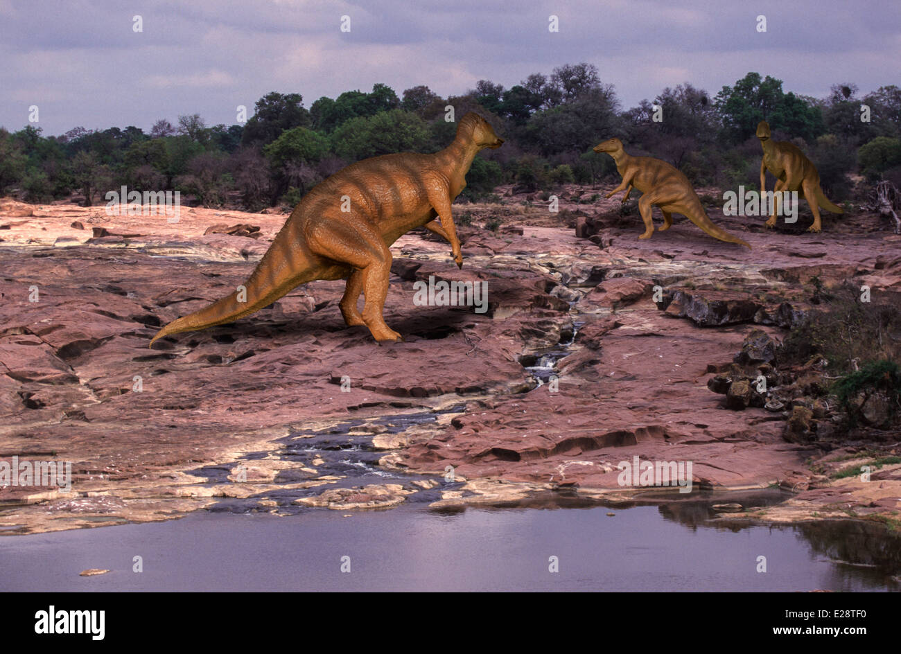 Edmontosaurus Stock Photo