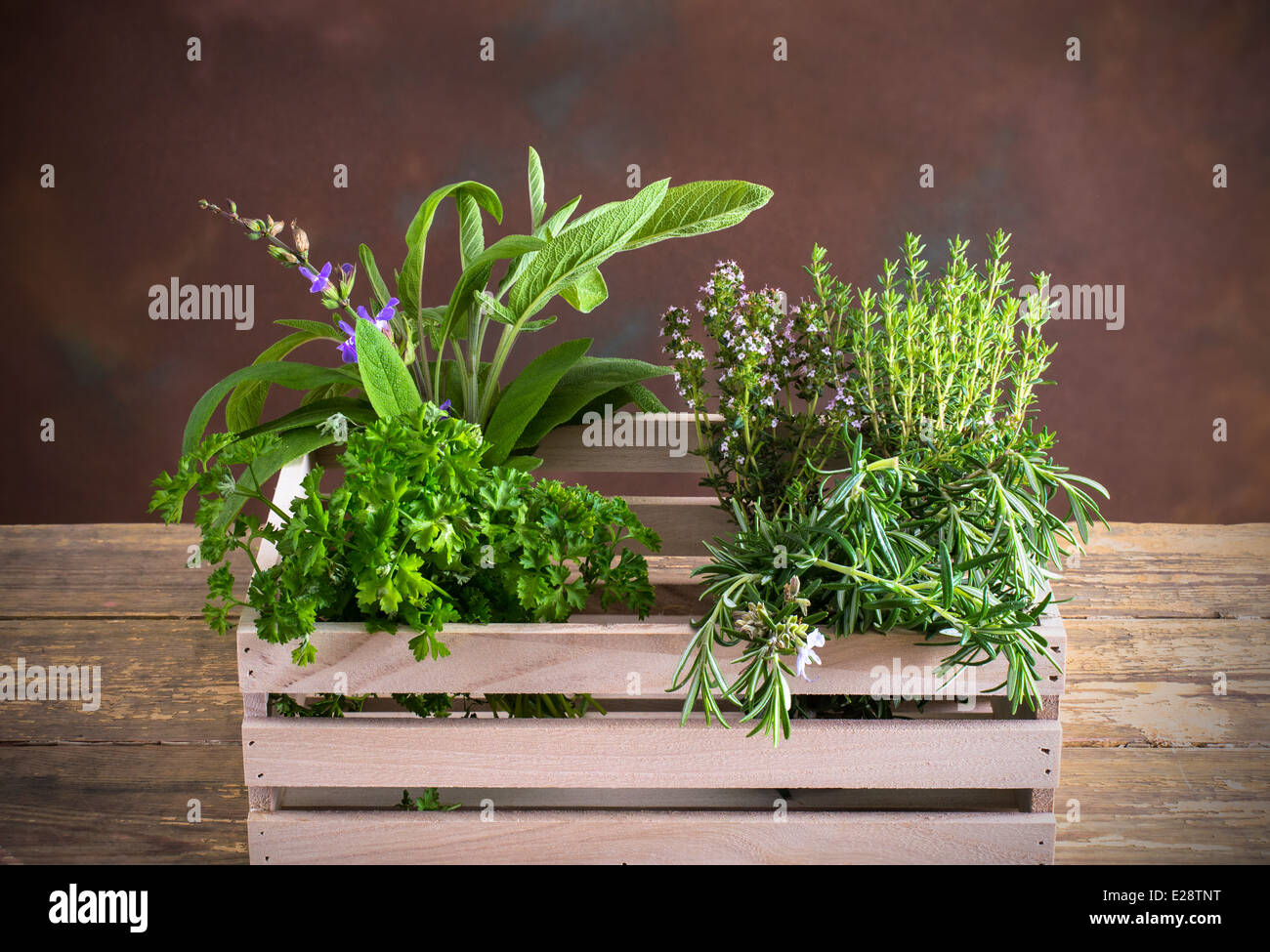 Herbs - parsley, sage, rosemary and thyme for cooking Stock Photo