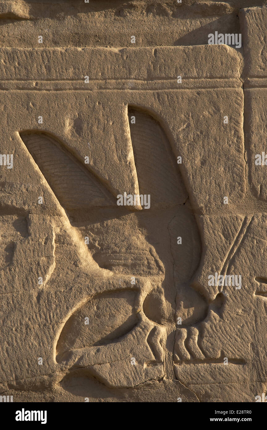 Egyptian Art. The Karnak Temple Complex. Relief depicting a bee, symbol of Lower Egypt. New Kingdom. Egypt. Stock Photo