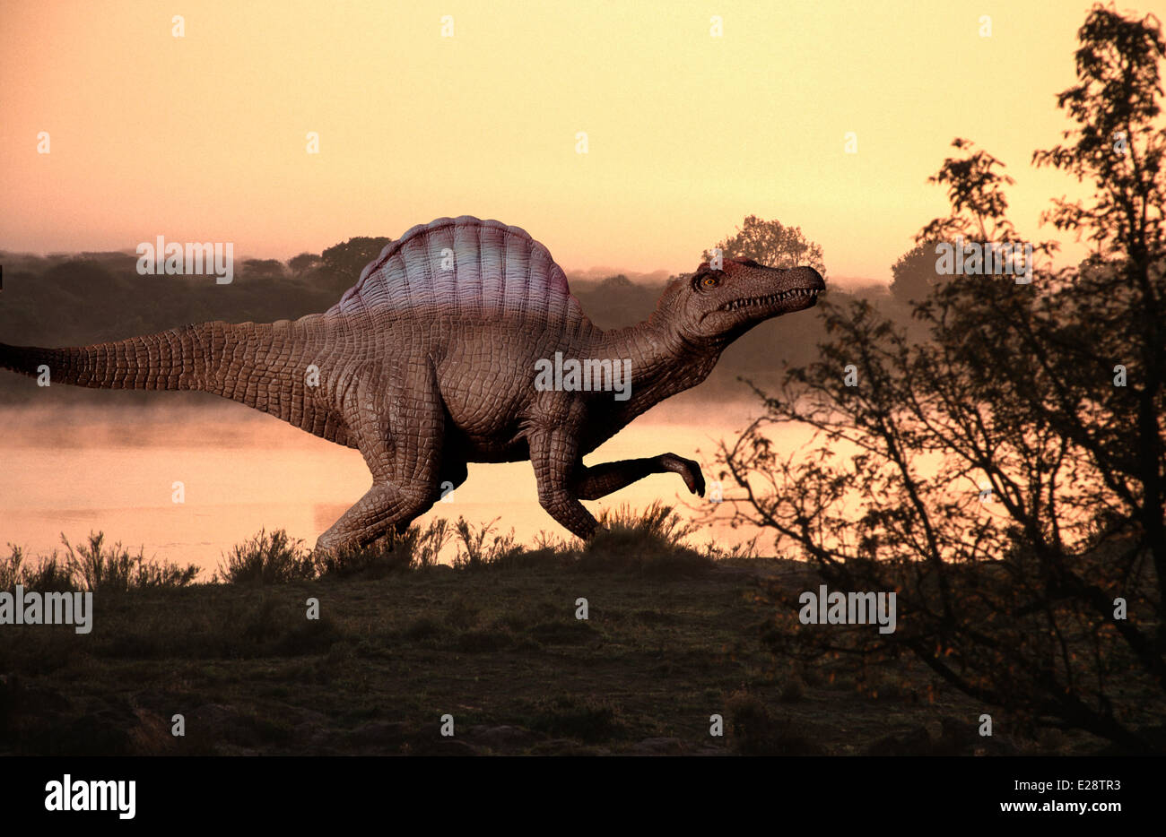 Spinosaurus Stock Photo