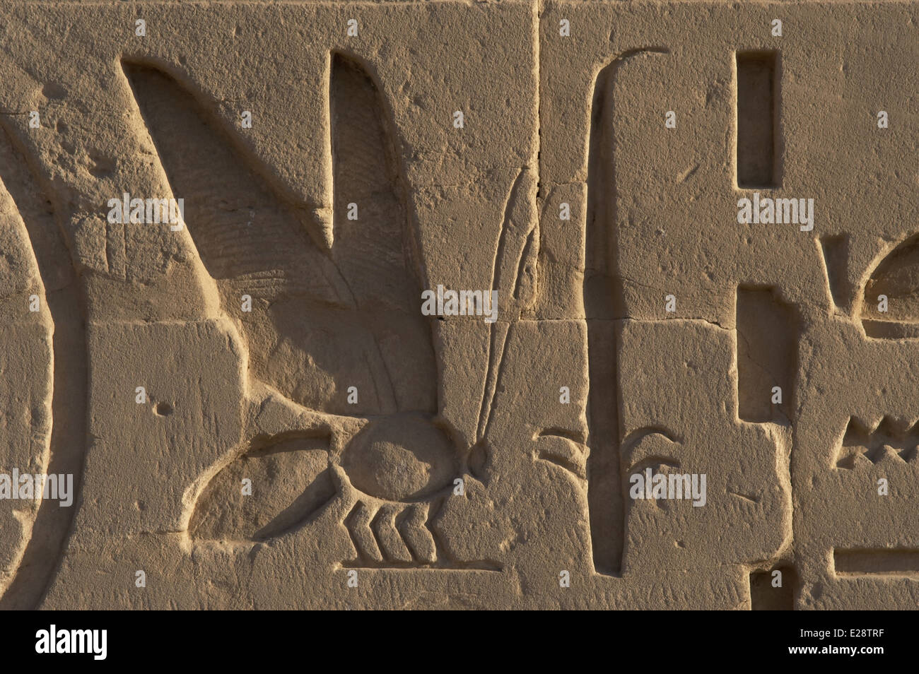 Egyptian Art. The Karnak Temple Complex. Relief depicting a bee and a rush symbols of Lower and Upper Egypt. New Kingdom. Egypt. Stock Photo