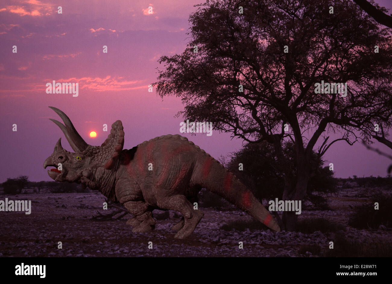 Tyrannosaurus Triceratops Stock Photo