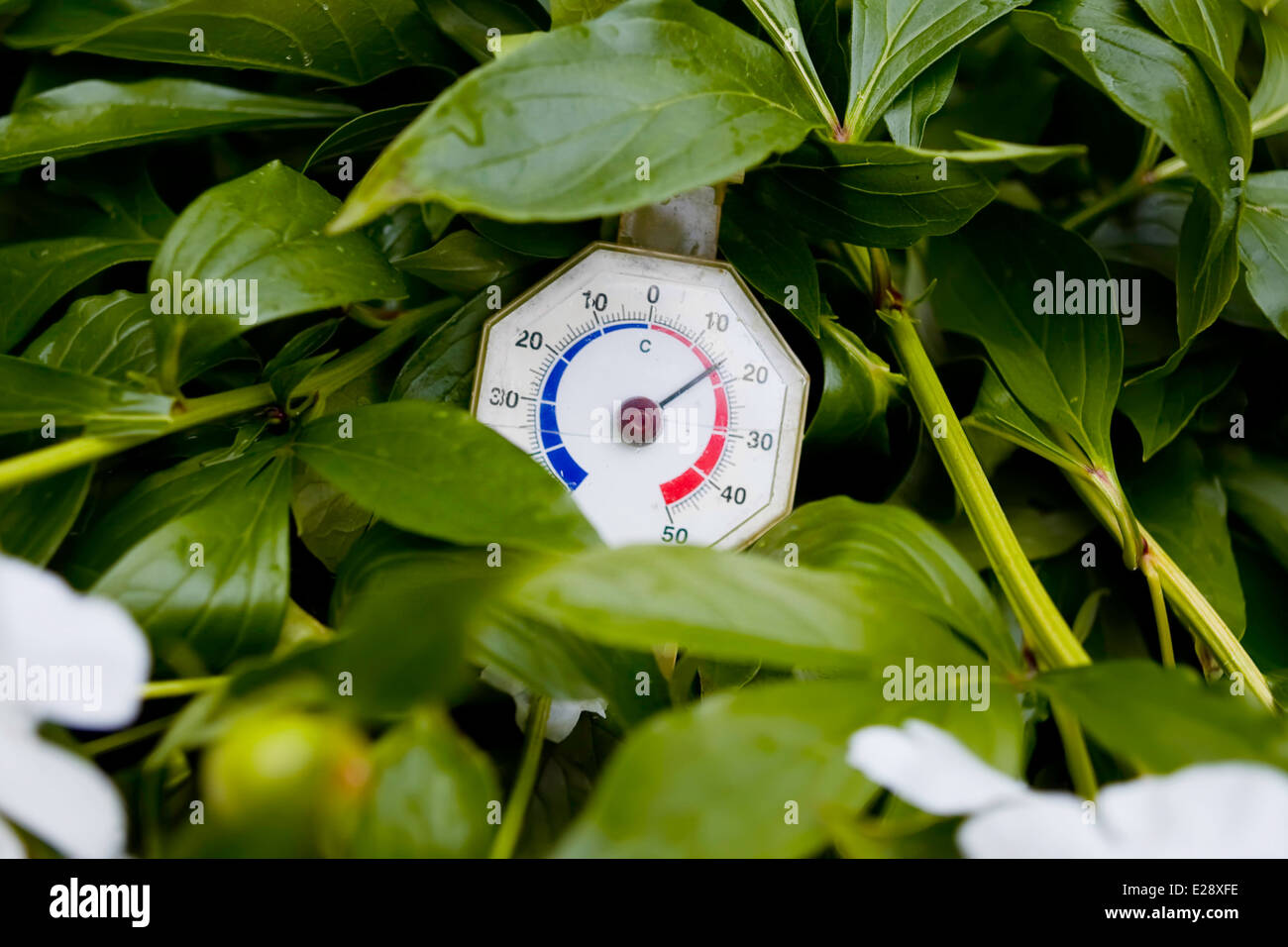 retro-thermometer-close-up-stock-photo-alamy